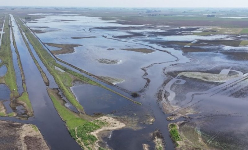 Extendieron la emergencia agropecuaria en 5 distritos